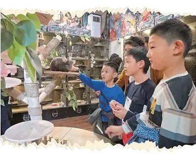 皇冠信用網代理怎么申请
_人民日报：吉林长春市红旗街——老商街“圈粉”年轻人