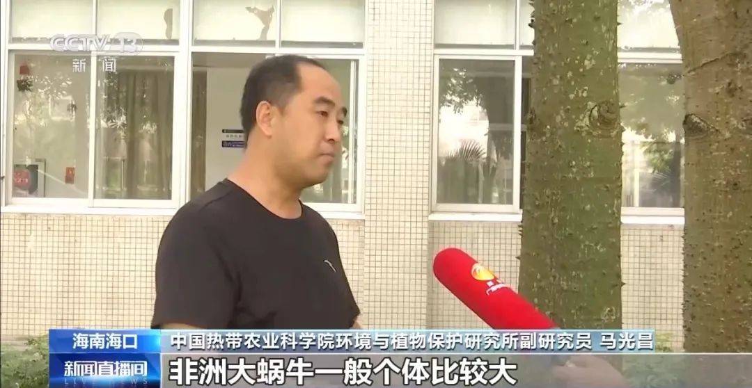 皇冠信用網代理
_别碰！别吃！别养！一只就携带100条虫皇冠信用網代理
，看到赶紧远离