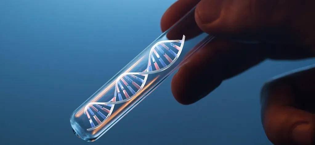 世界杯平台代理
_医生偷用自己的精子“助孕”世界杯平台代理
，死后查出12个子女