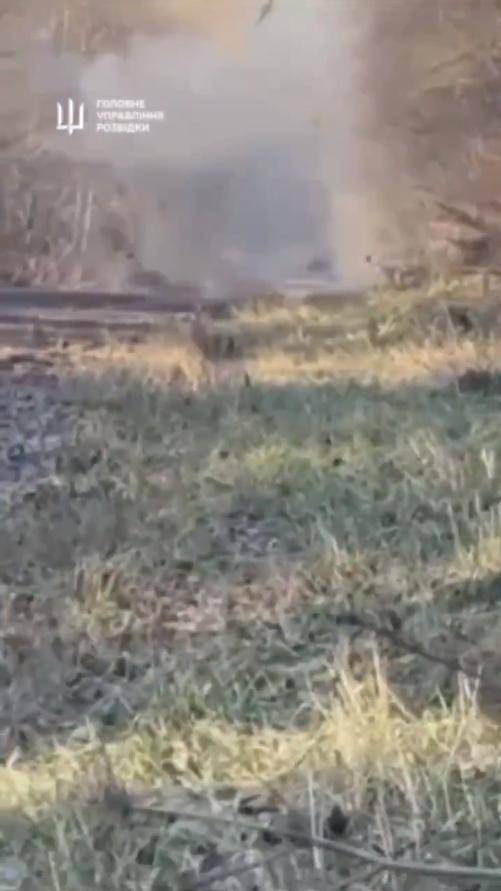 hga025怎么登录
_炸榛树导弹hga025怎么登录
,炸莫斯科,炸俄军上校,乌克兰豁出去,不怕被核打击