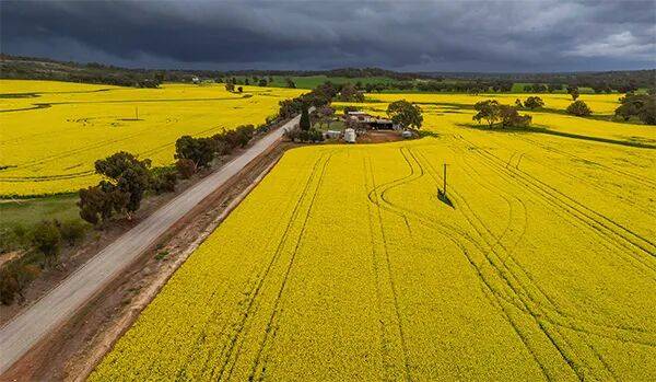 多伦多猛龙 vs 密尔沃基雄鹿_澳大利亚给中国发货多伦多猛龙 vs 密尔沃基雄鹿，加拿大农民急了