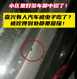 皇冠会员如何申请
_汽车被虫子啃得都是窟窿皇冠会员如何申请
，“一边咬一边往里钻”！很多人中招