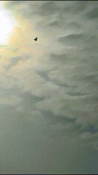 皇冠登1登2登3出租
_被打惨后皇冠登1登2登3出租
，伊朗空军飞行员对苏-57感到失望：本来要买150架歼-10