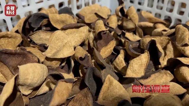 皇冠信用APP下载
_30天速成陈皮皇冠信用APP下载
,成本仅70元,利润超成本10倍以上!央视起底陈皮跨省造假产业链