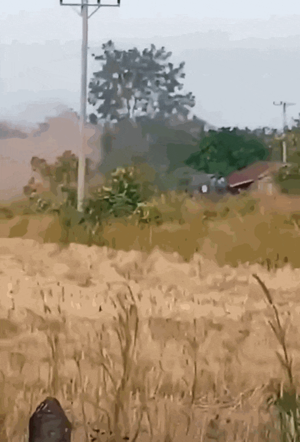 丹麦超级联赛_柬埔寨出动PHL-03型300毫米远火丹麦超级联赛,3发火箭弹准确命中泰军据点?